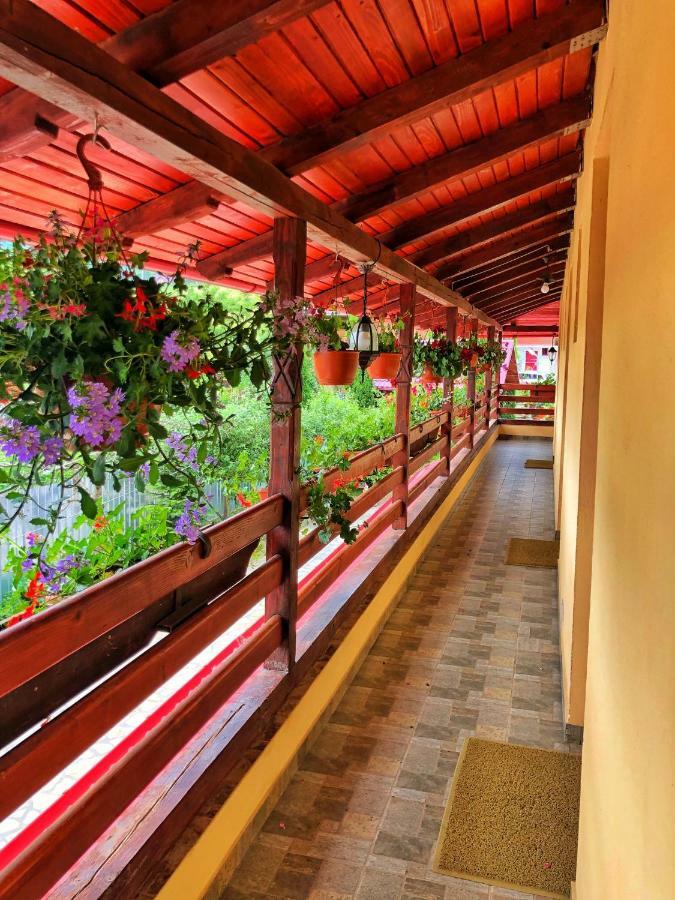 Отель Casa Boico Гура-Гуморулуй Экстерьер фото