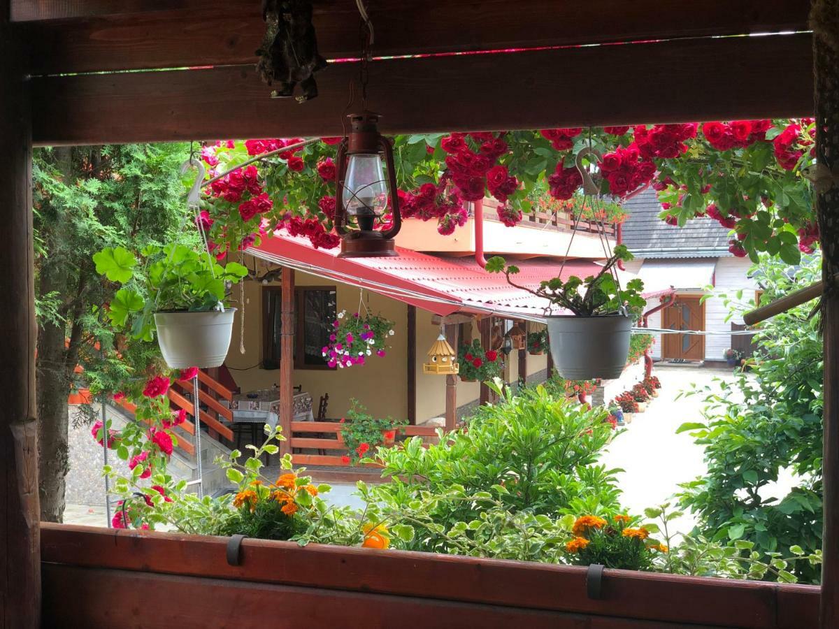 Отель Casa Boico Гура-Гуморулуй Экстерьер фото
