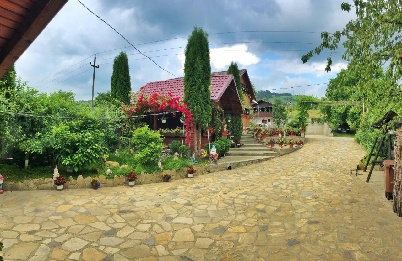 Отель Casa Boico Гура-Гуморулуй Экстерьер фото